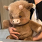 Brown Cow / 45cm