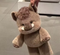 Brown Hog / 45cm
